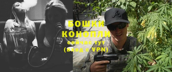 бошки Инта